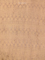 Pastel Pink Crush Tissue Handloom Banarasi Saree