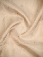 Beige Booti Organza Tissue Silk Handloom Banarasi Saree - Sacred Weaves