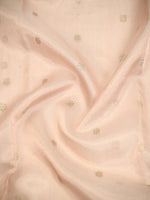 Beige Booti Organza Tissue Silk Handloom Banarasi Saree - Sacred Weaves