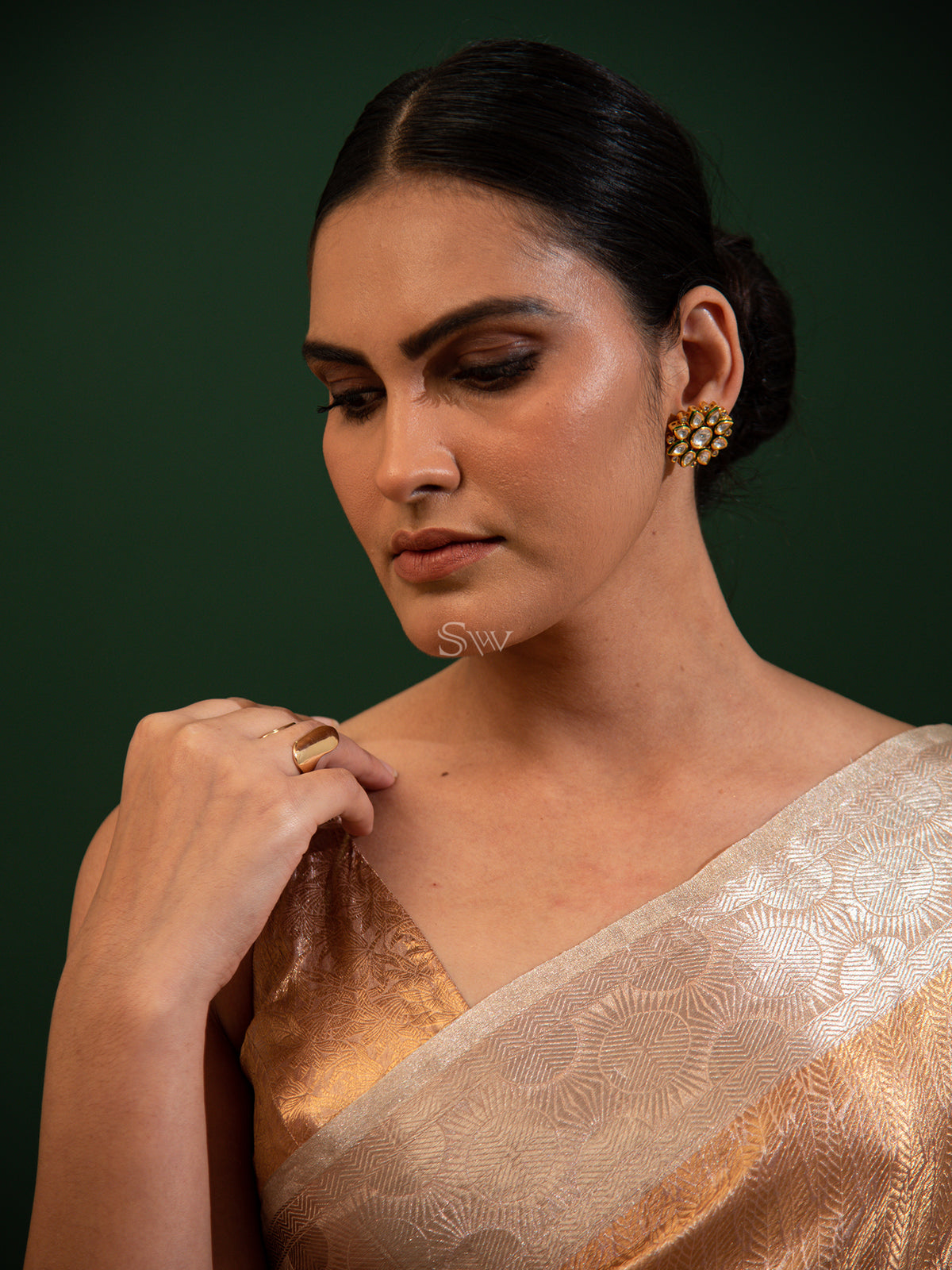 Brown Tissue Brocade Handloom Banarasi Saree - Sacred Weaves