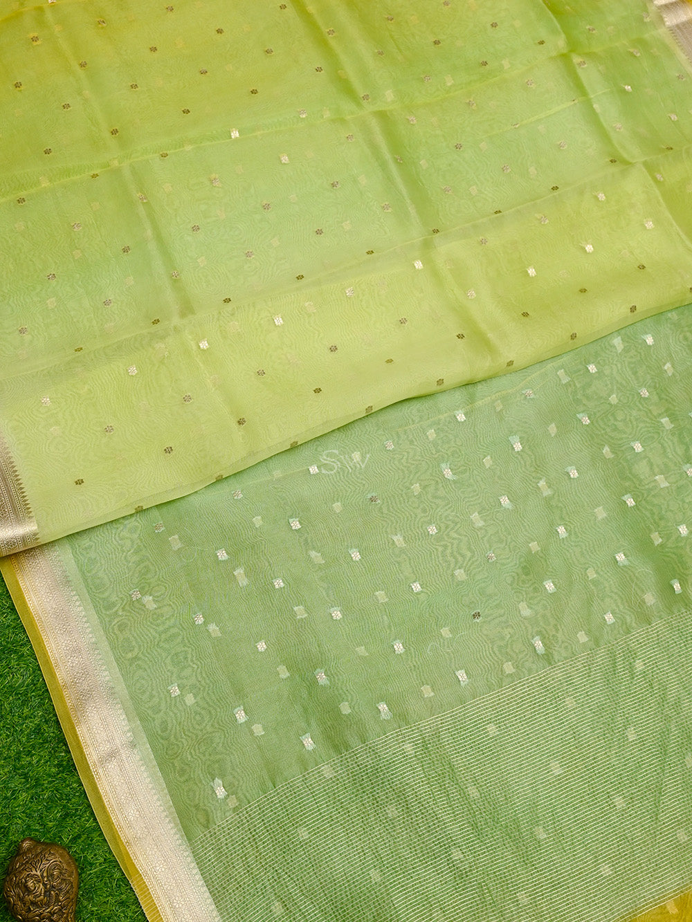Pastel Green Yellow Booti Organza Handloom Banarasi Saree - Sacred Weaves