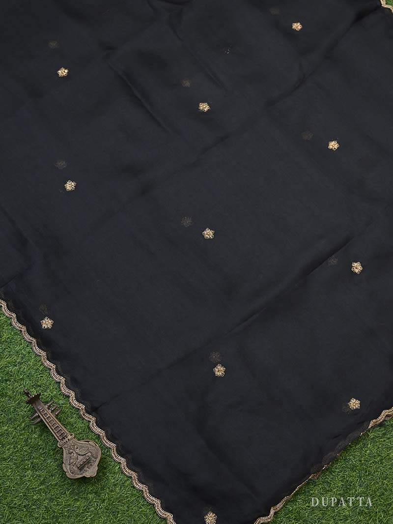 Black Handloom Banarasi Lehenga - Sacred Weaves