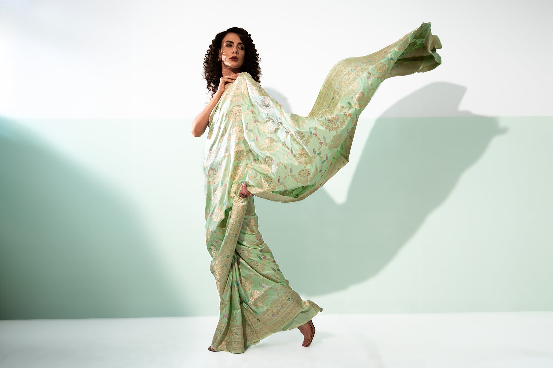 Vintage Banaras- Sacred Weaves