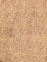 Pastel Brown Crush Tissue Handloom Banarasi Saree