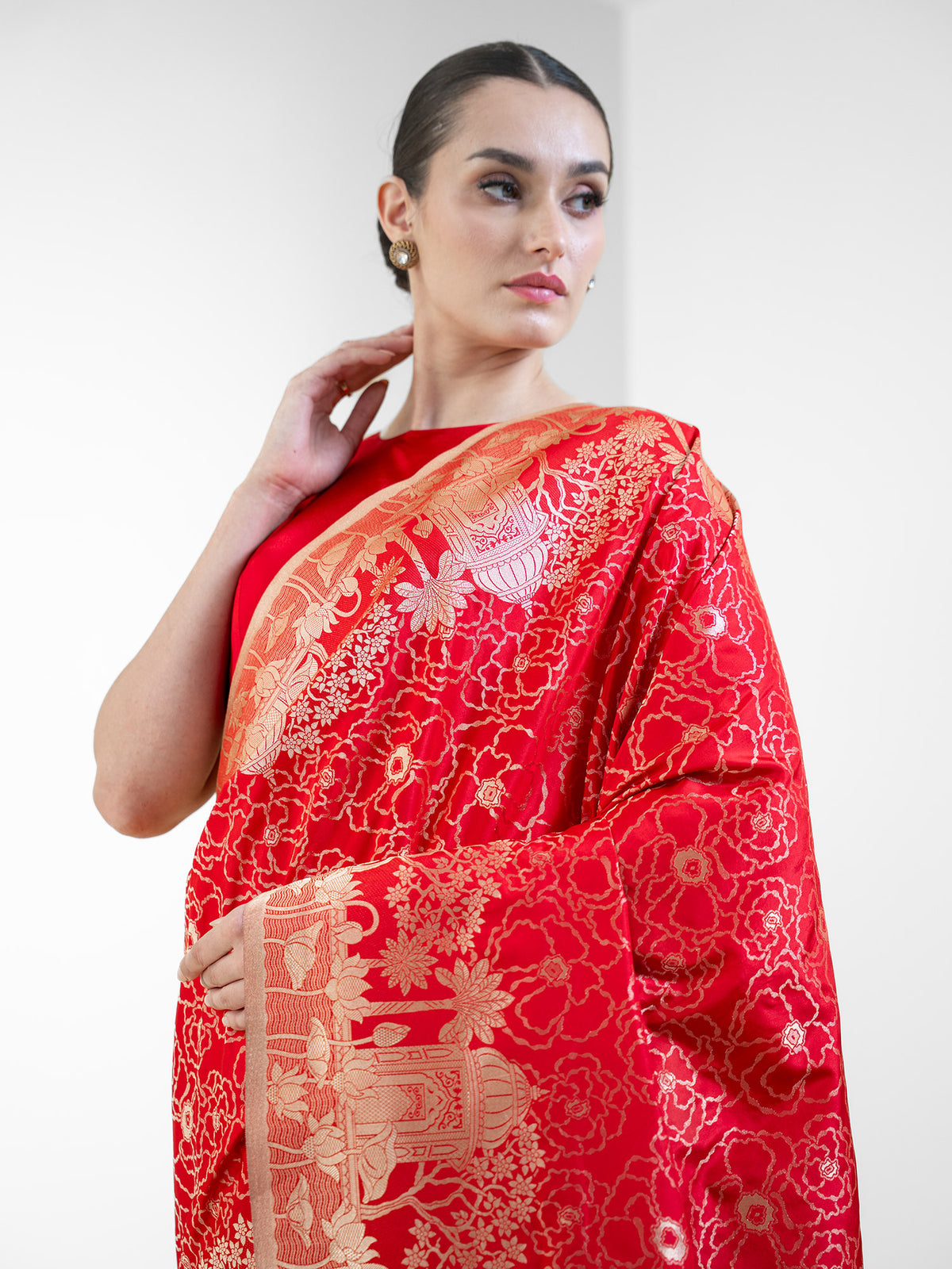 Red Jaal Katan Silk Handloom Banarasi Saree - Sacred Weaves