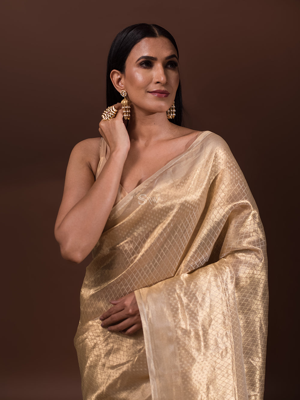Beige Jaal Tissue Handloom Banarasi Saree - Sacred Weaves