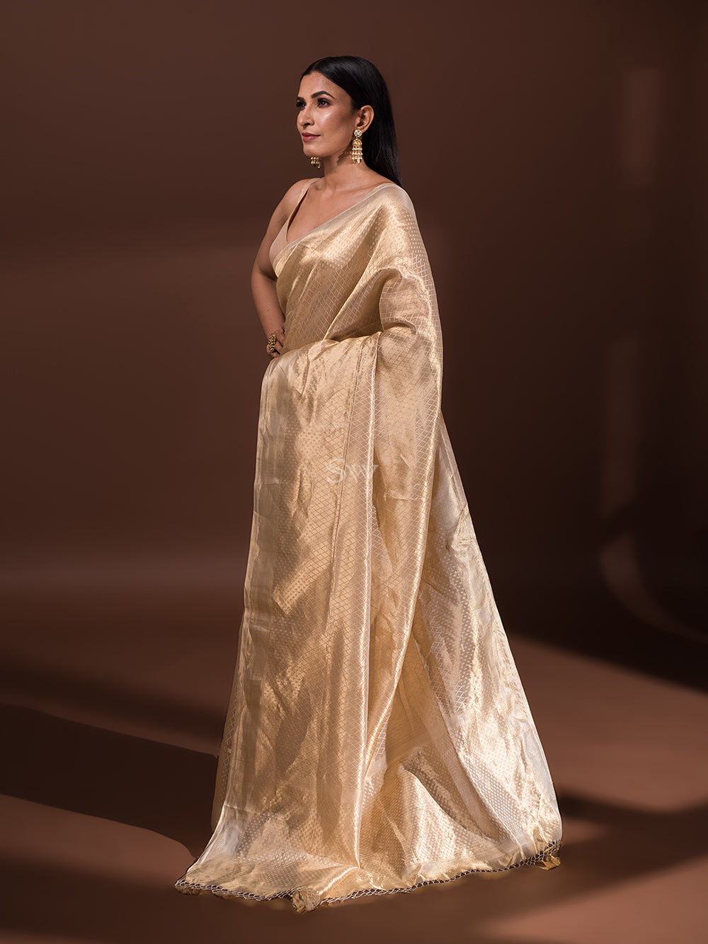 Beige Jaal Tissue Handloom Banarasi Saree - Sacred Weaves