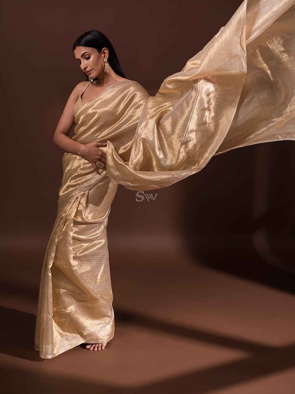 Beige Jaal Tissue Handloom Banarasi Saree - Sacred Weaves