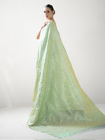 Pista Green Jaal Uppada Katan Silk Handloom Banarasi Saree - Sacred Weaves