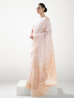 Pastel Pink Jaal Organza Handloom Banarasi Saree - Sacred Weaves