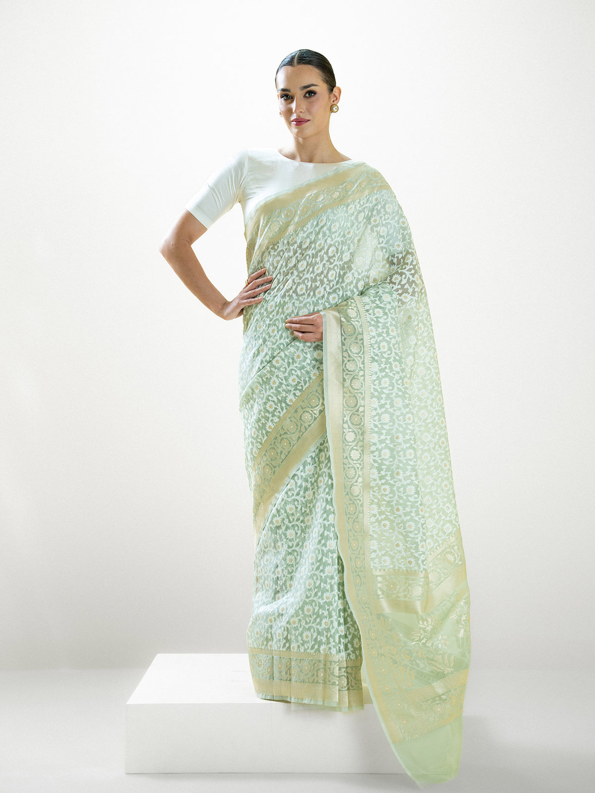 Pastel Pista Green Jaal Organza Handloom Banarasi Saree