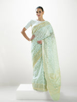 Pastel Pista Green Jaal Organza Handloom Banarasi Saree