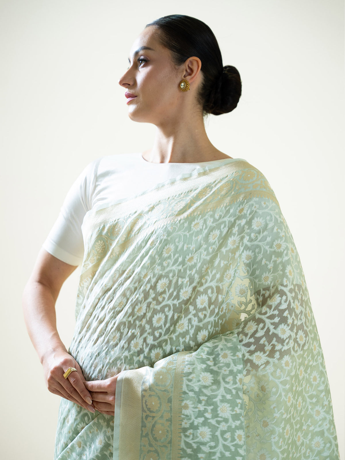 Pastel Pista Green Jaal Organza Handloom Banarasi Saree