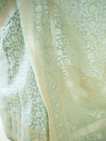 Pastel Pista Green Jaal Organza Handloom Banarasi Saree