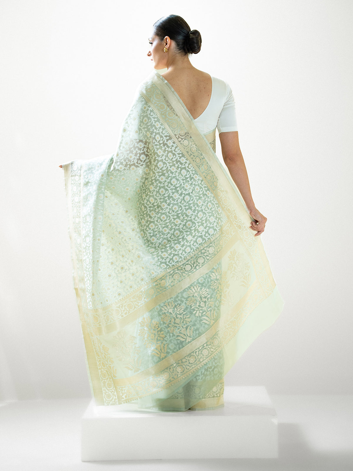 Pastel Pista Green Jaal Organza Handloom Banarasi Saree