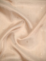 Beige Booti Organza Tissue Silk Handloom Banarasi Saree - Sacred Weaves