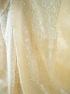 Cream Jaal Organza Handloom Banarasi Saree - Sacred Weaves