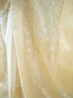Cream Jaal Organza Handloom Banarasi Saree - Sacred Weaves