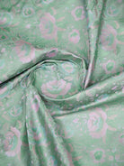 Mint Green Jaal Tanchoi Silk Handloom Banarasi Saree - Sacred Weaves