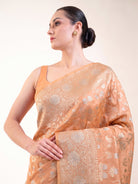 Peach Zari Jaal Uppada Katan Silk Handloom Banarasi Saree - Sacred Weaves
