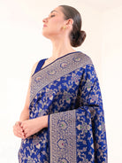 Blue Meenakari Jaal Uppada Katan Silk Handloom Banarasi Saree - Sacred Weaves