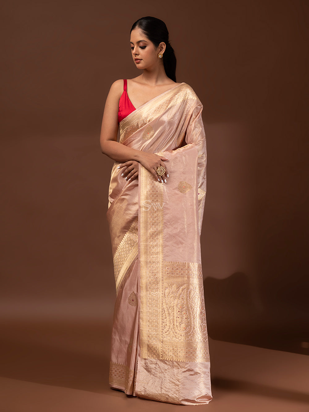 Dark Beige Gold Meenakari Katan Silk Tissue Handloom Banarasi Saree - Sacred Weaves