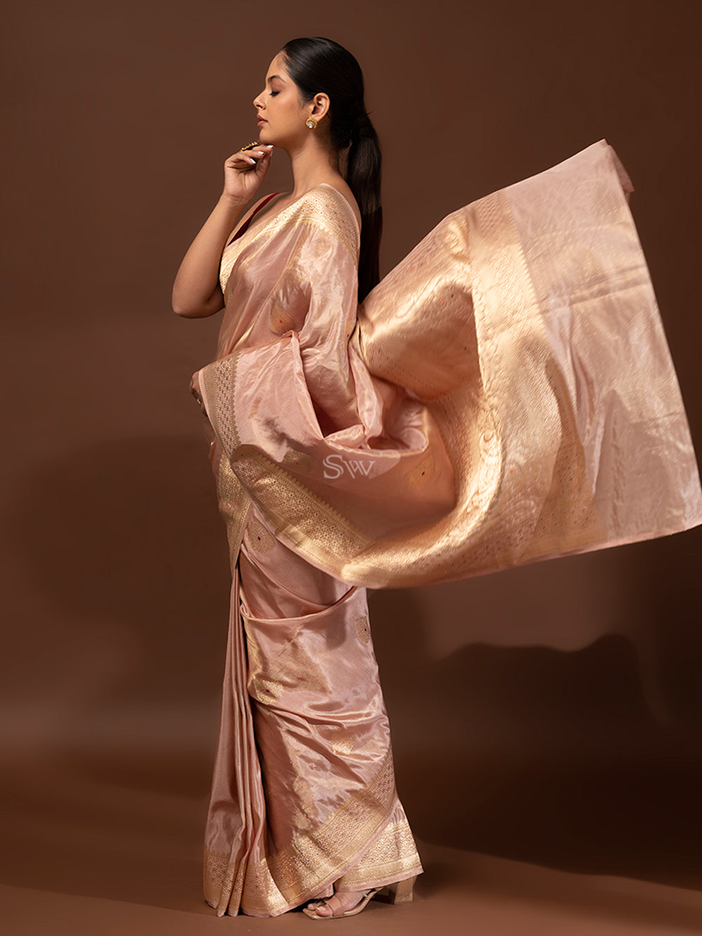Dark Beige Gold Meenakari Katan Silk Tissue Handloom Banarasi Saree - Sacred Weaves