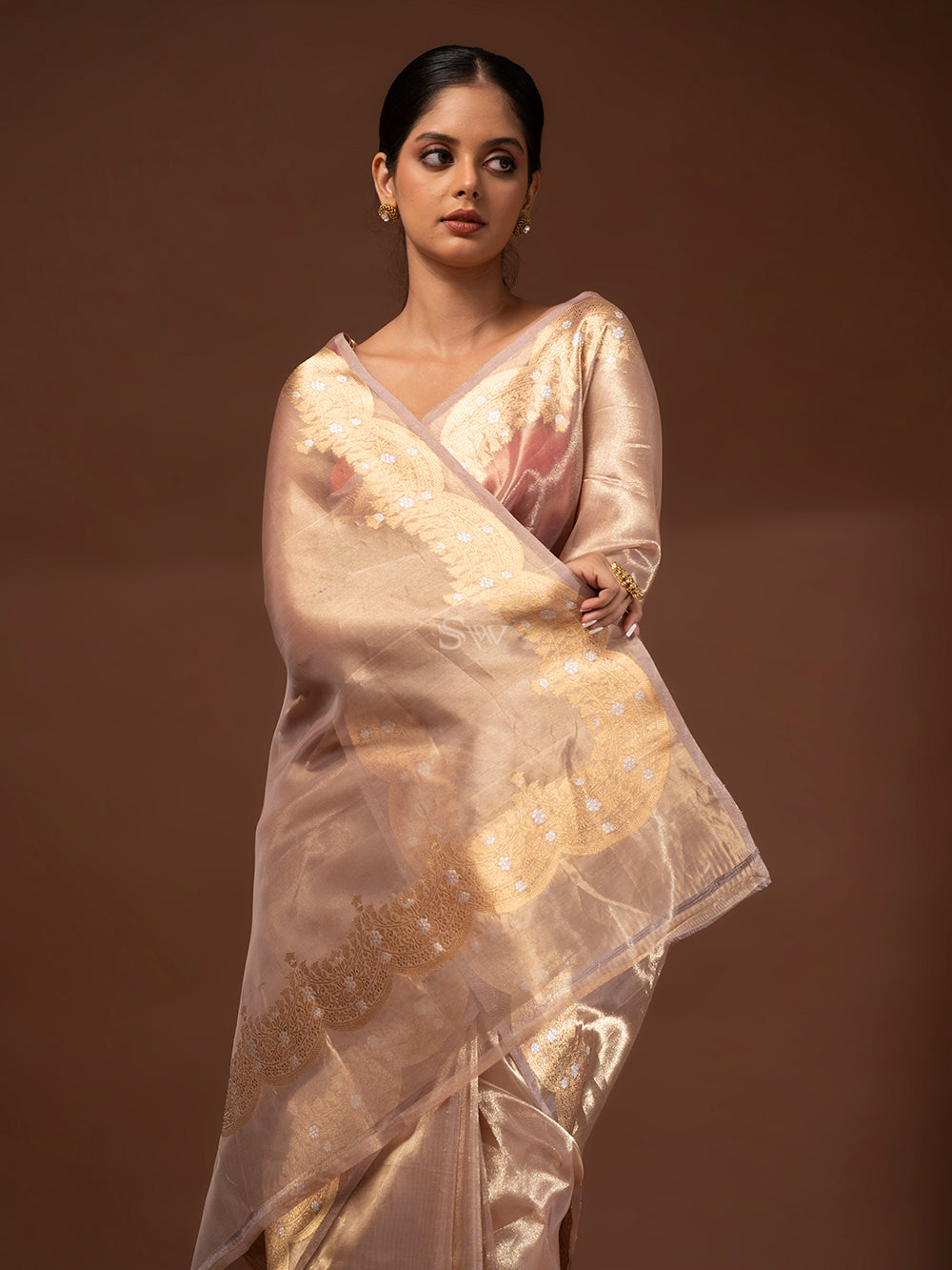 Light Brown Tissue Handloom Banarasi Saree - Sacred Weaves