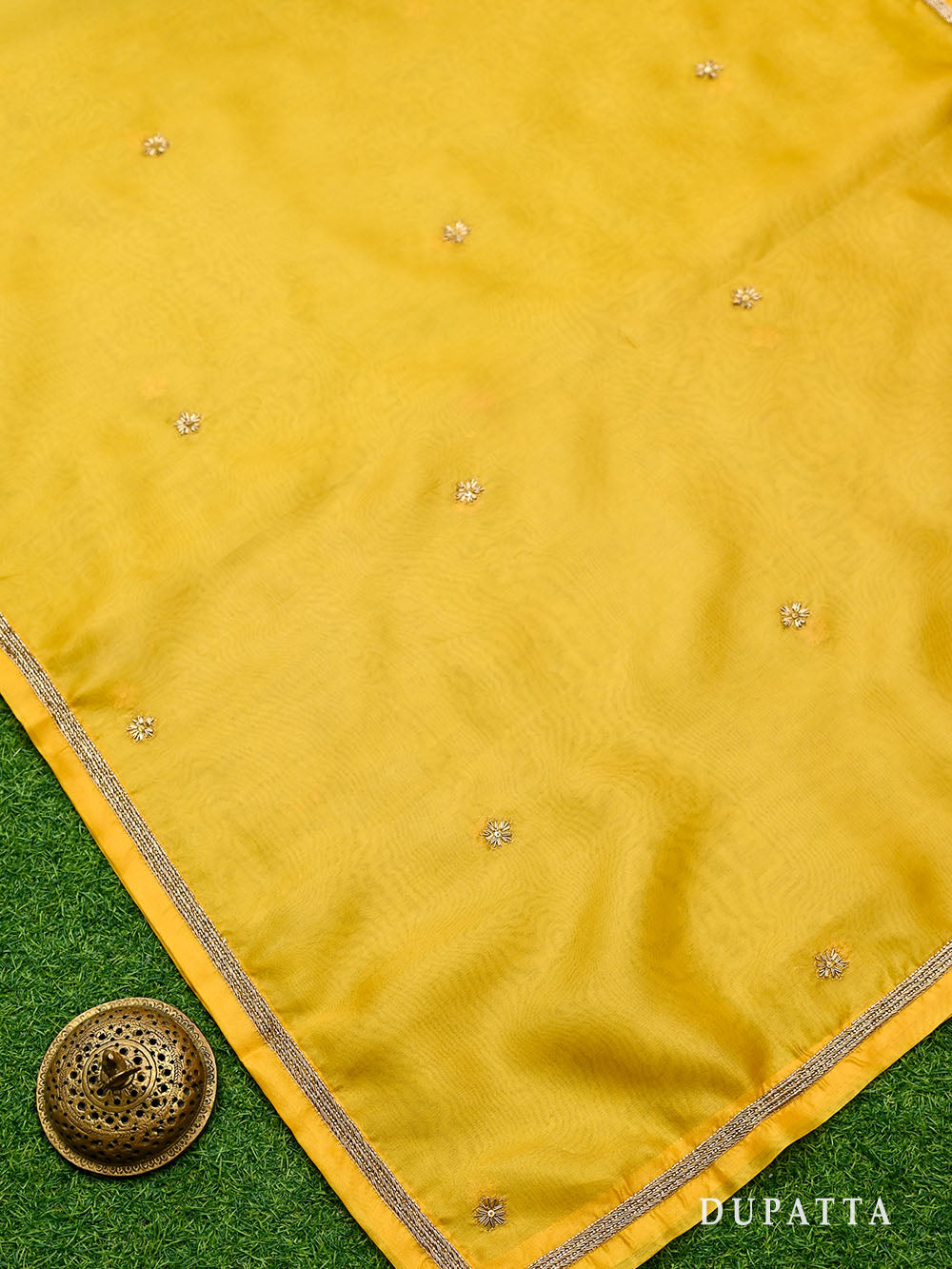 Mustard Meenakari Silk Handloom Banarasi Lehenga