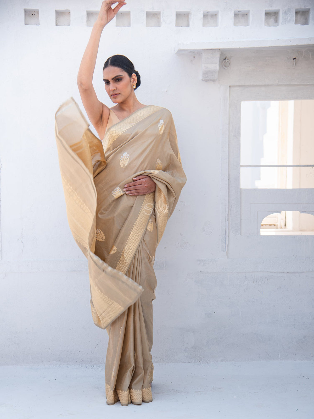 Dark Beige Booti Tissue Katan Handloom Banarasi Saree - Sacred Weaves