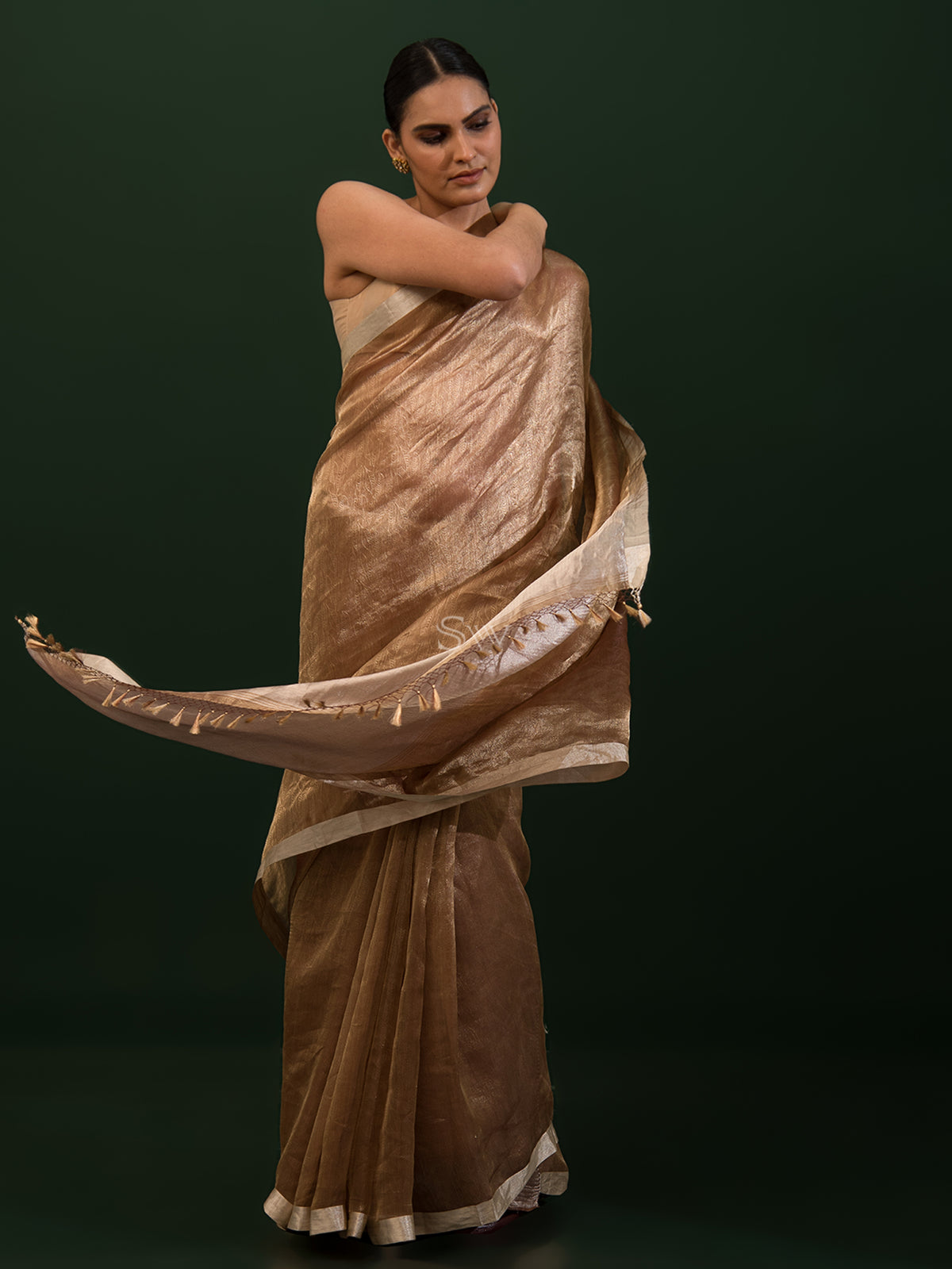 Brown Jaal Tissue Handloom Banarasi Saree - Sacred Weaves
