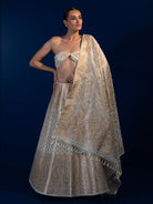 White Meenakari Silk Handloom Banarasi Lehenga - Sacred Weaves