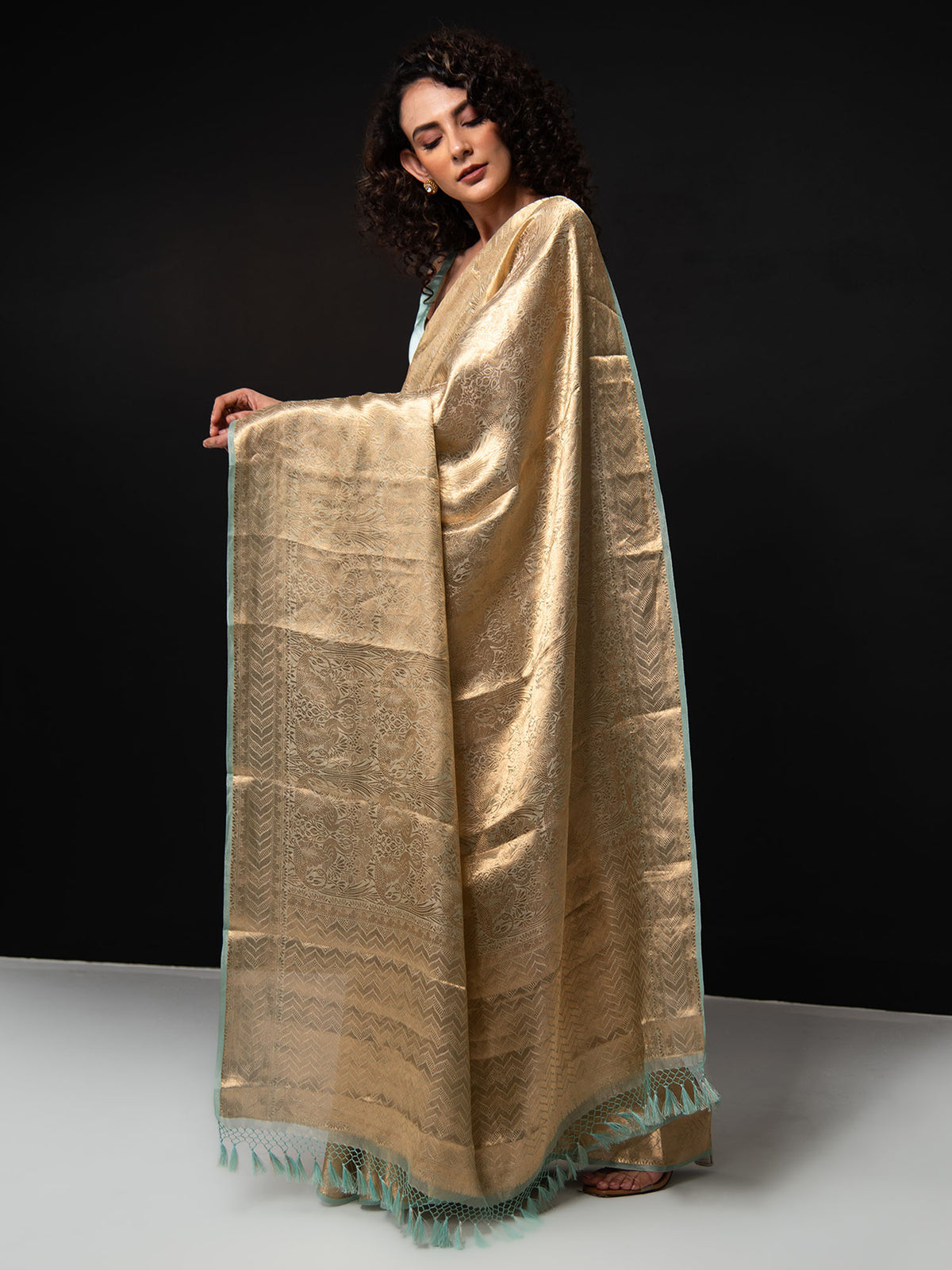 Aqua Green Tissue Brocade Handloom Banarasi Saree -Sacred Weaves