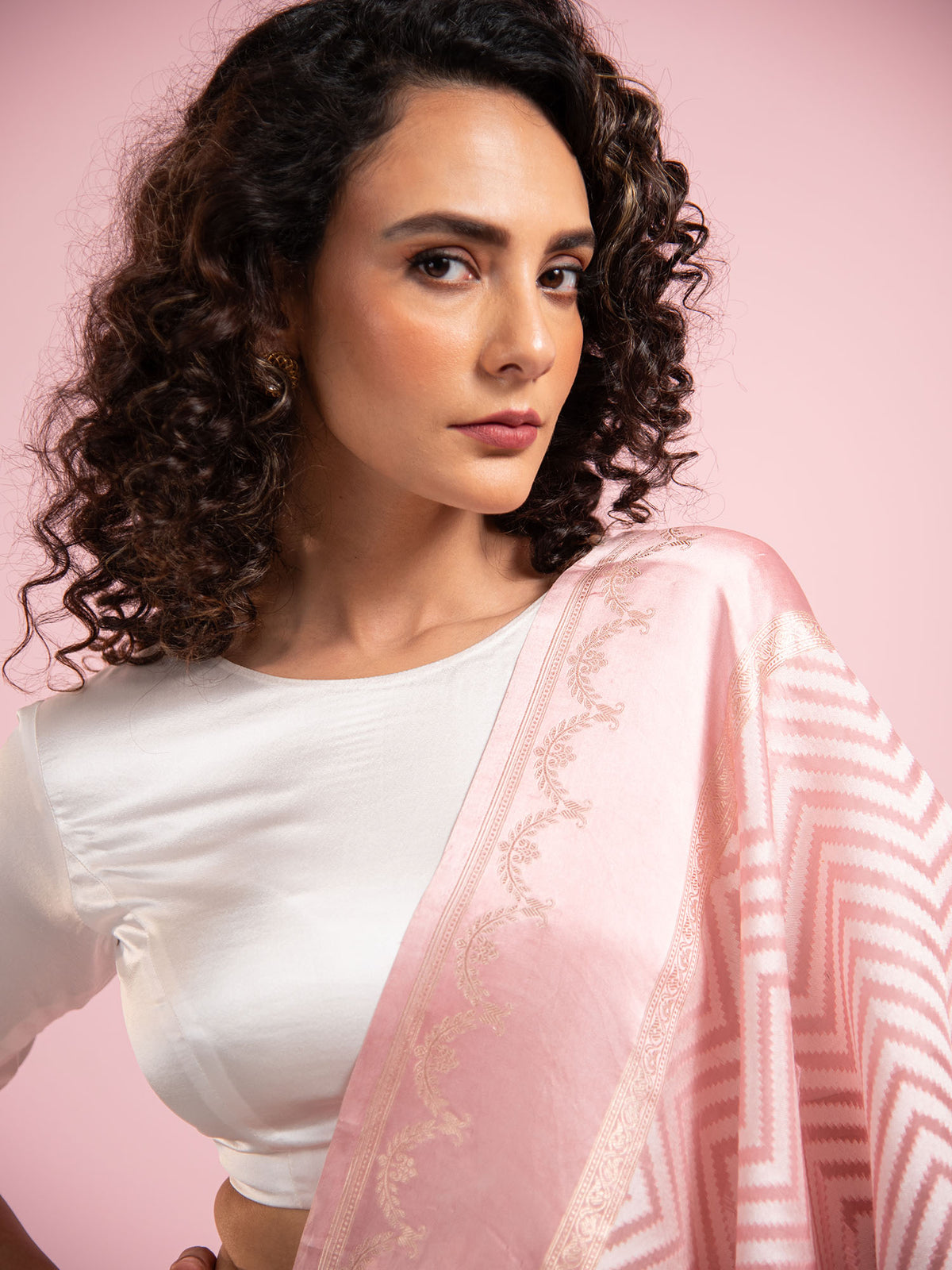 Pastel Pink Organza Handloom Banarasi Saree - Sacred Weaves