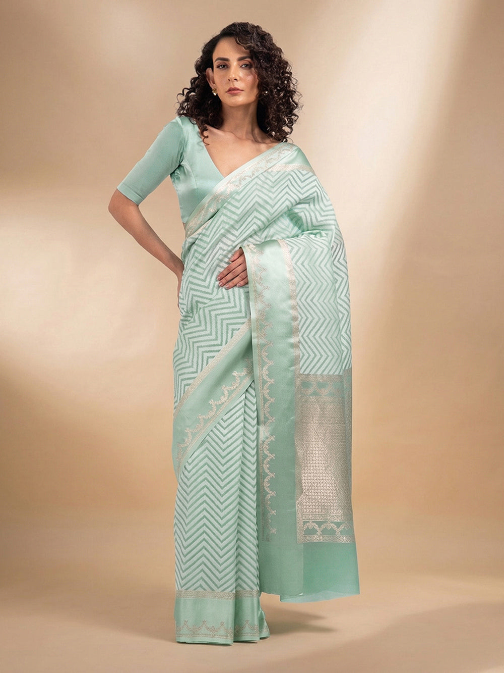 Pastel Green Organza Handloom Banarasi Saree - Sacred Weaves