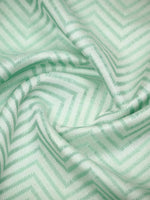 Pastel Green Organza Handloom Banarasi Saree - Sacred Weaves