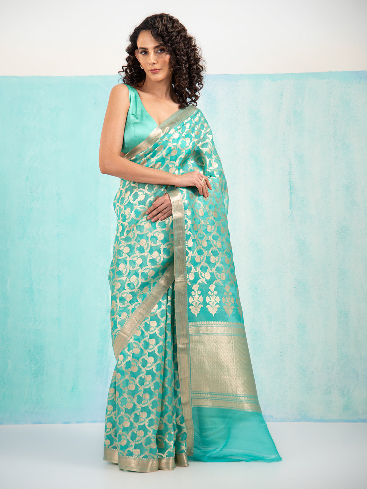 Sea Green Jaal Organza Handloom Banarasi Saree - Sacred Weaves