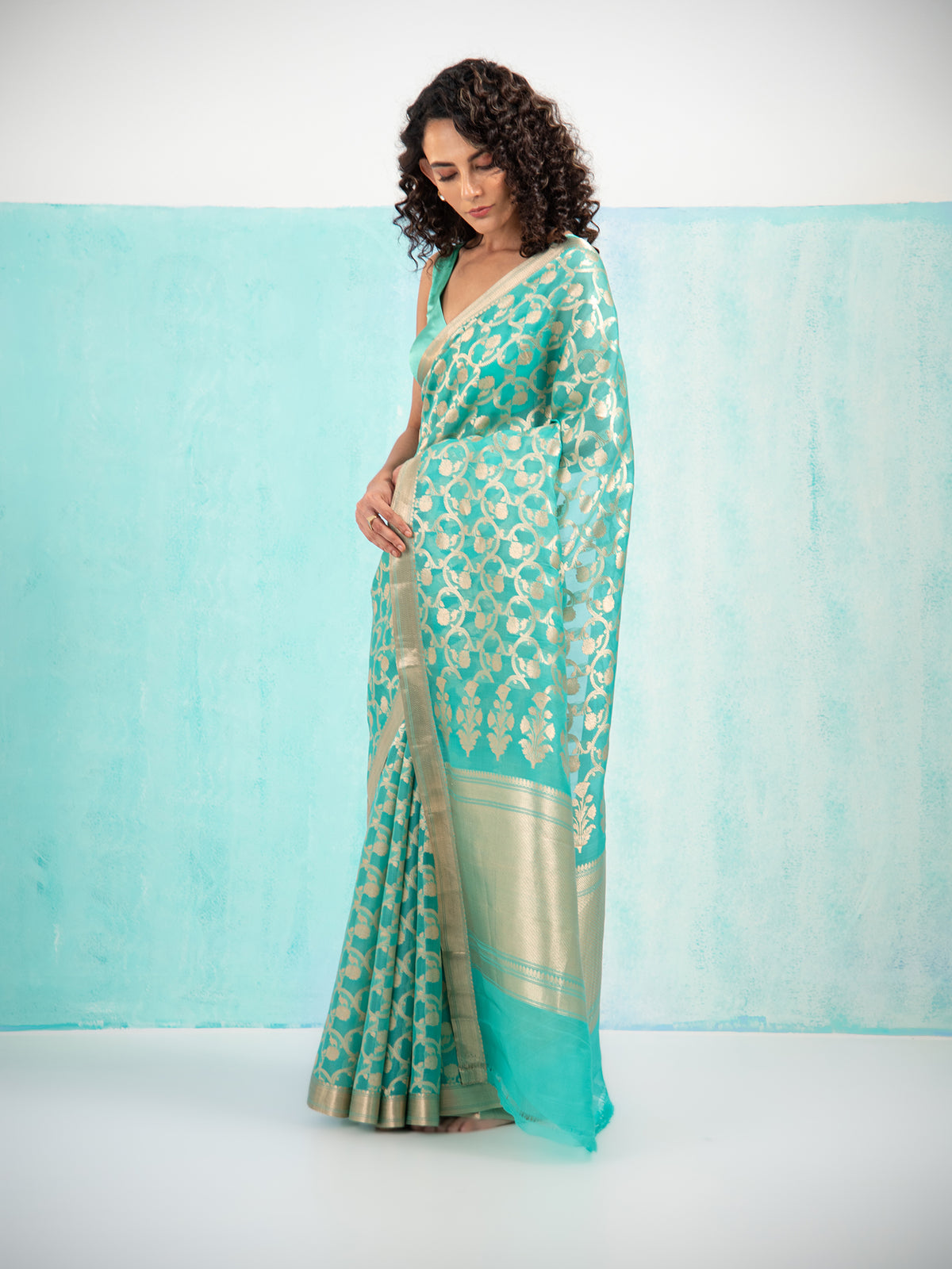 Sea Green Jaal Organza Handloom Banarasi Saree - Sacred Weaves
