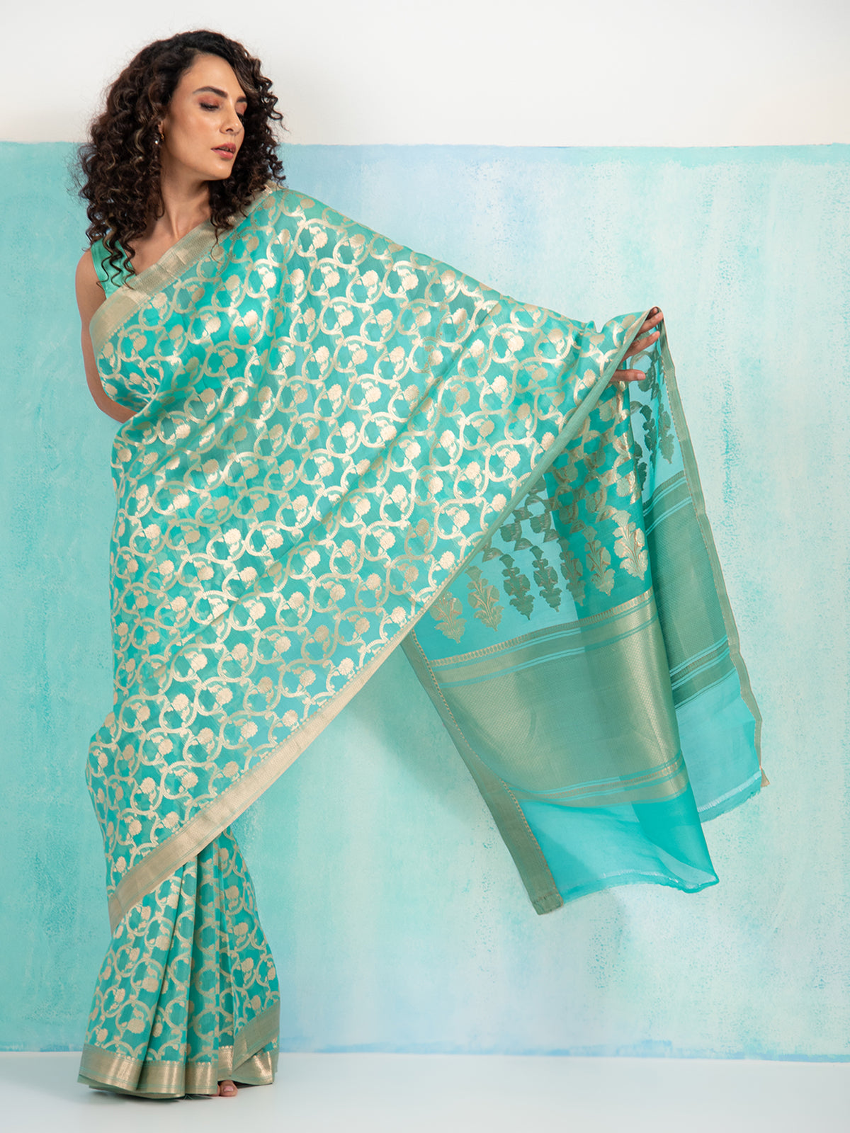 Sea Green Jaal Organza Handloom Banarasi Saree - Sacred Weaves