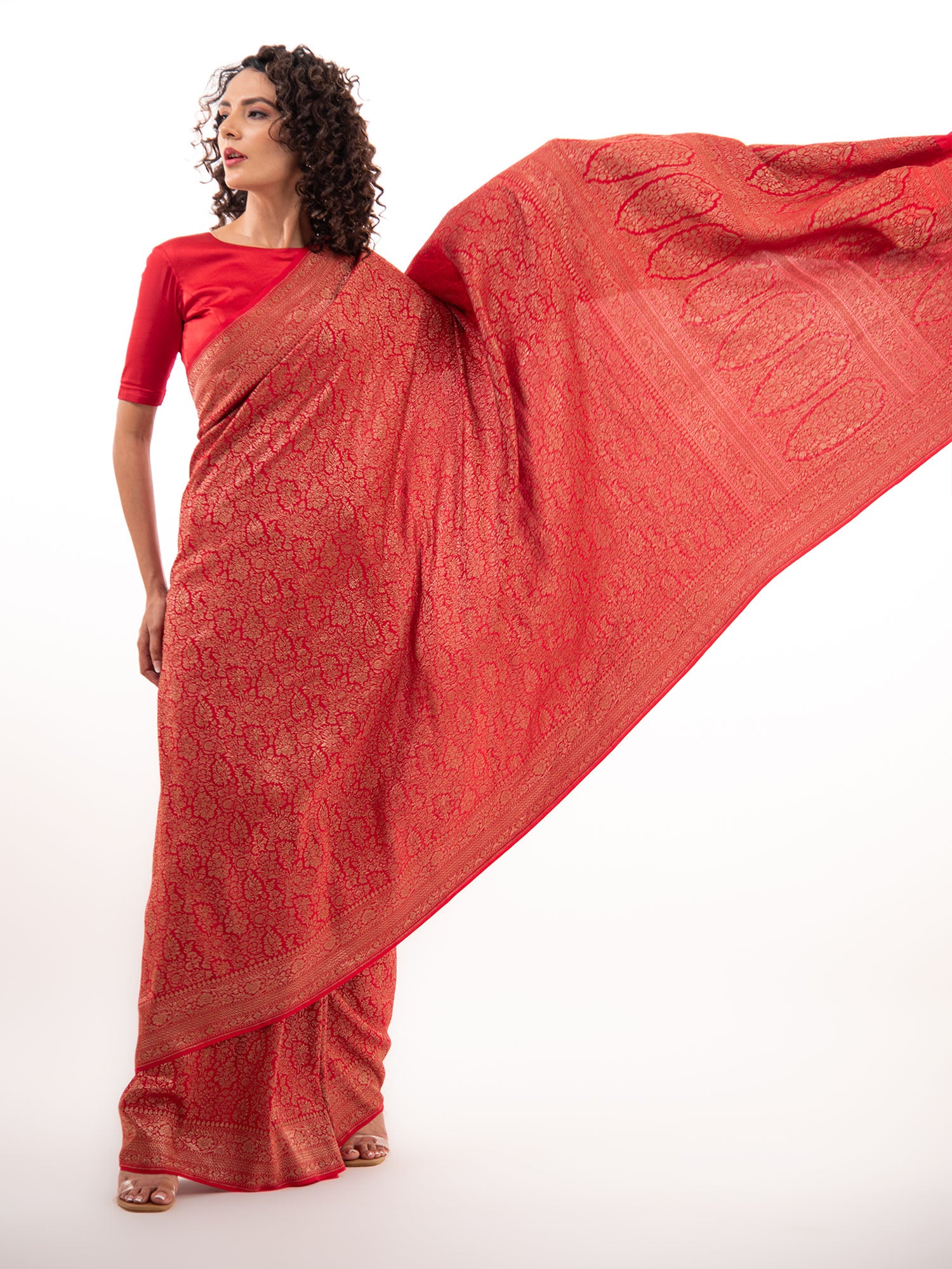 Red Jaal Crepe Silk Handloom Banarasi Saree - Sacred Weaves