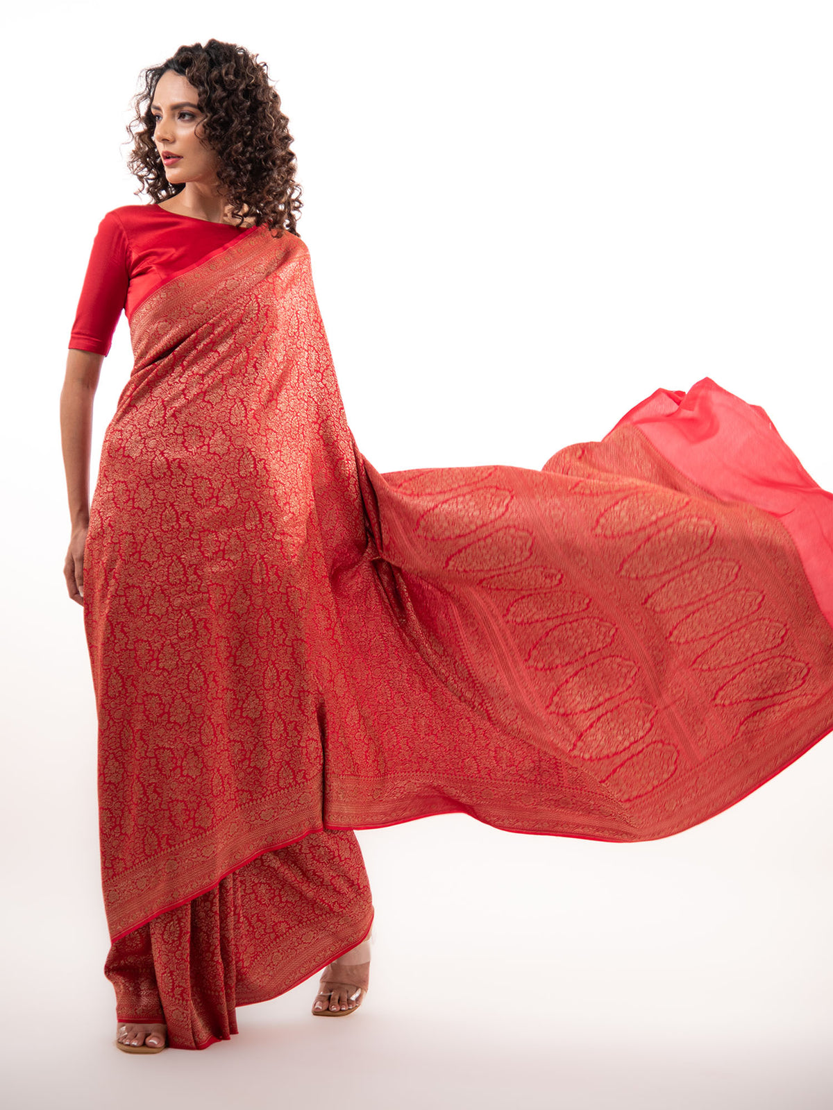 Red Jaal Crepe Silk Handloom Banarasi Saree - Sacred Weaves