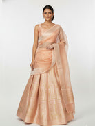 Peach Tissue Silk Handloom Banarasi Lehenga - Sacred Weaves