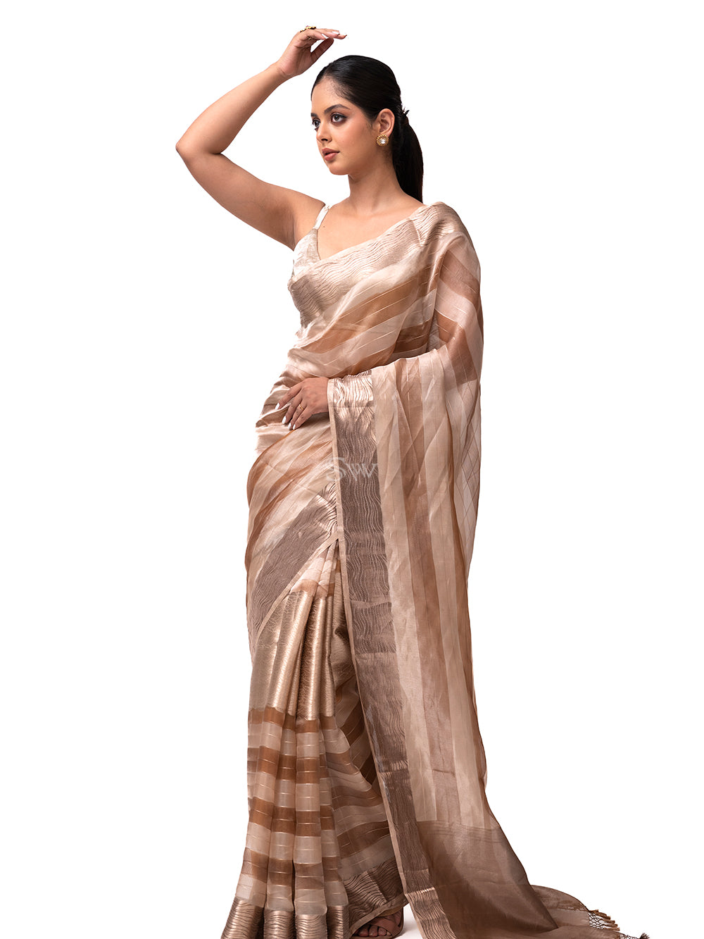 Pastel Peach Rangkat Tissue Handloom Banarasi Saree - Sacred Weaves