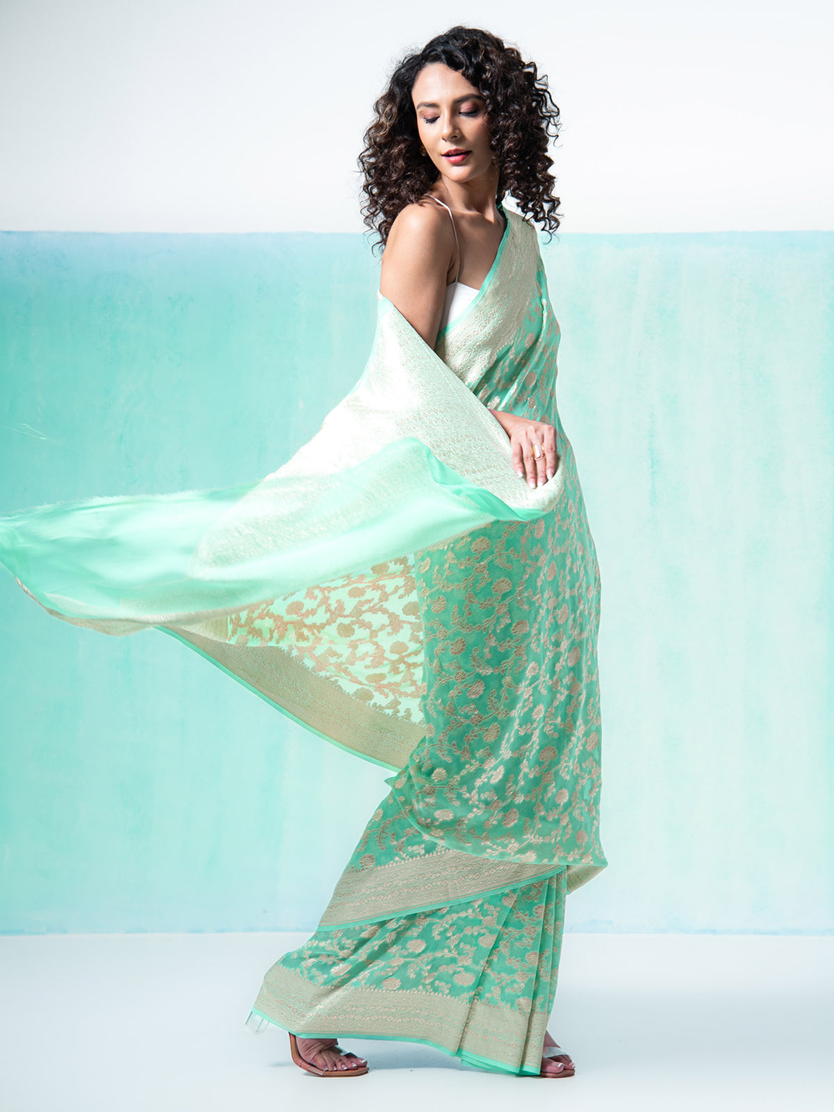 Aqua Green Jaal Khaddi Georgette Handloom Banarasi Saree