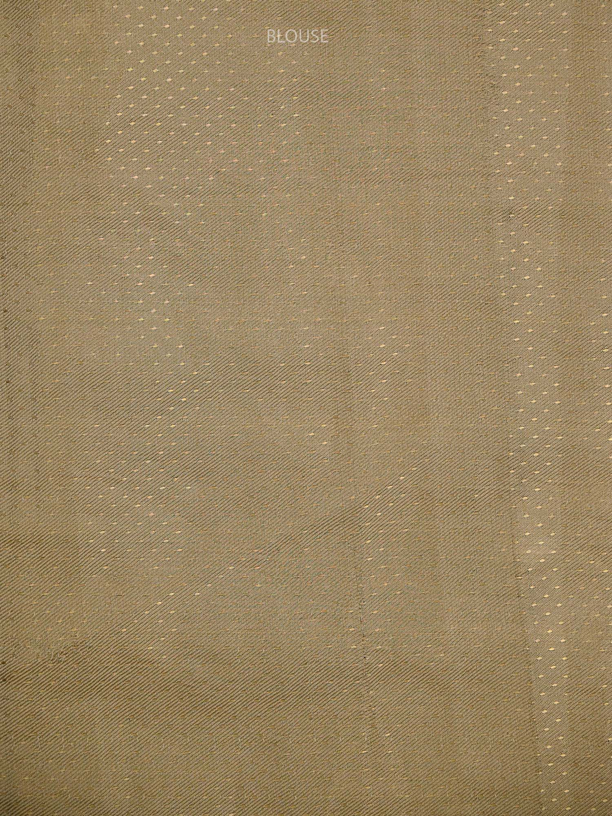 Beige Gold Tissue Brocade Handloom Banarasi Saree - Sacred Weaves