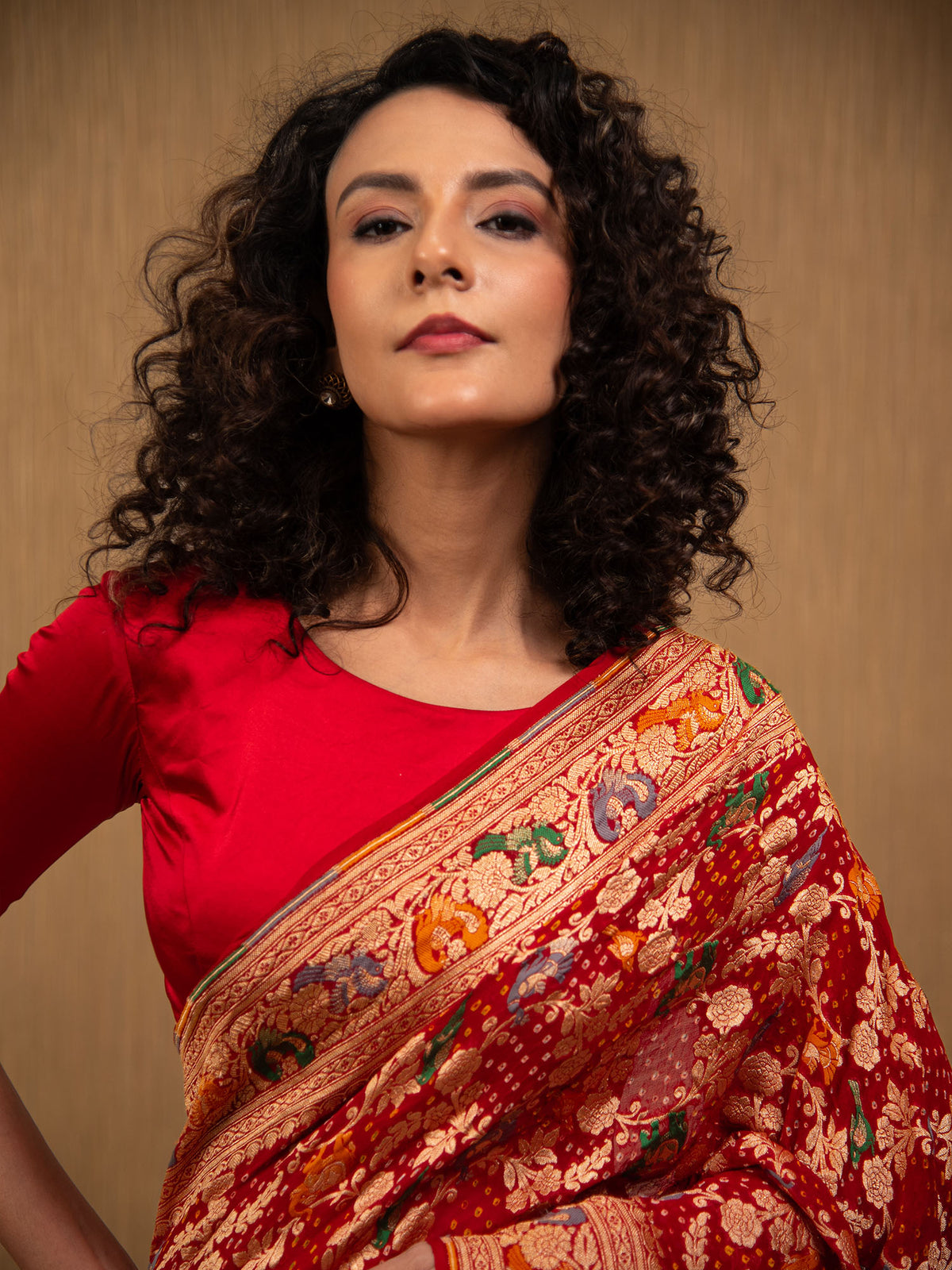 Maroon Bandhani Khaddi Georgette Handloom Banarasi Saree