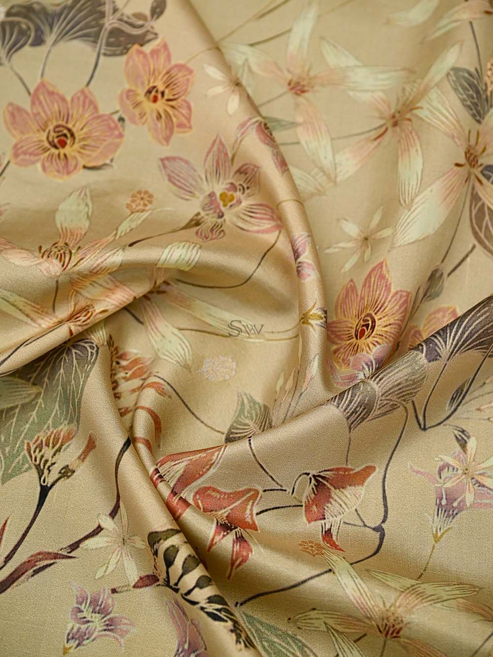 Beige Printed Pure Silk Handloom Banarasi Saree