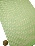 Pista Green Jaal Crepe Silk Handloom Banarasi Suit