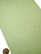 Pista Green Jaal Crepe Silk Handloom Banarasi Suit