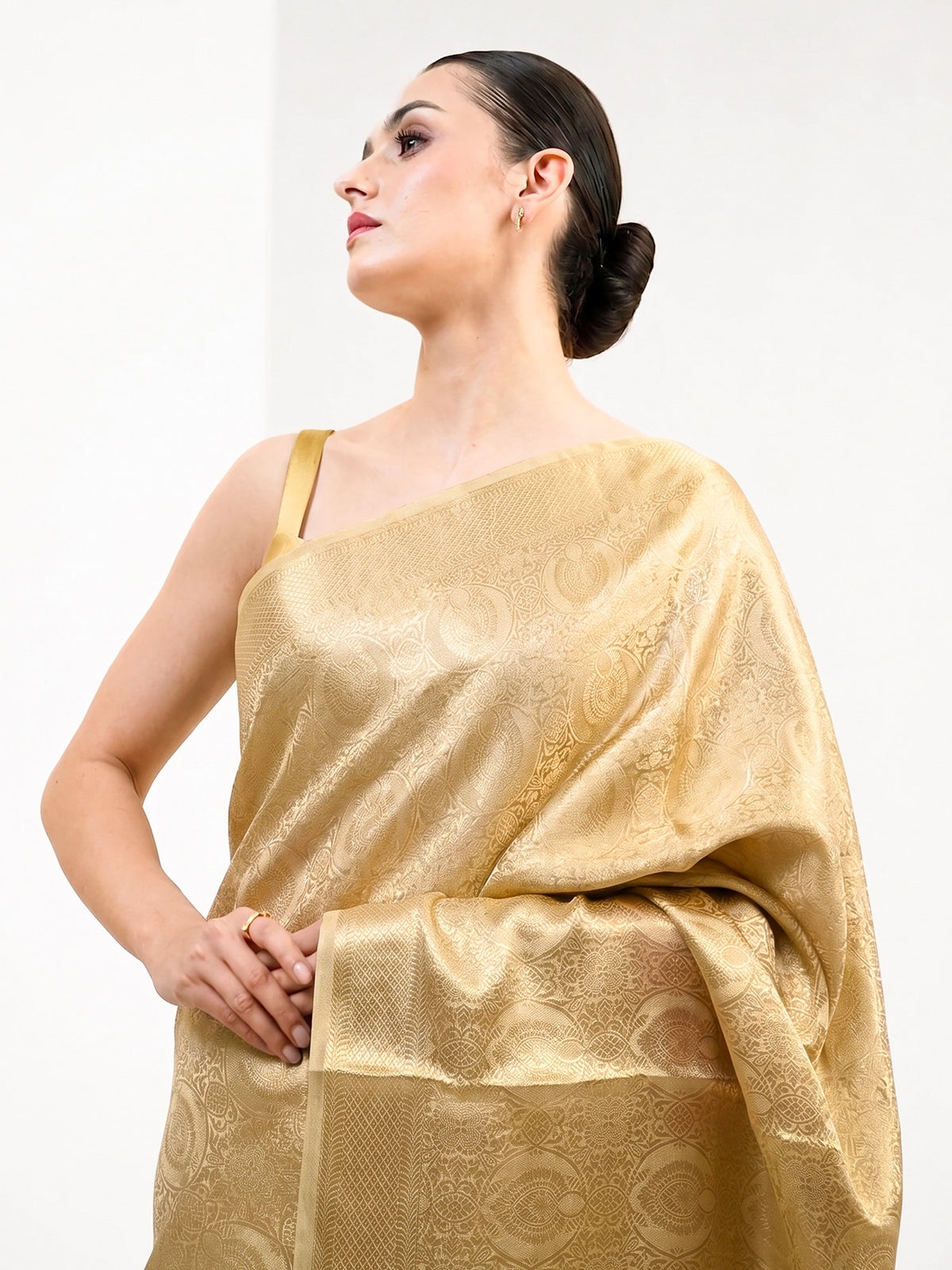 Beige Tissue Brocade Handloom Banarasi Saree - Sacred Weaves